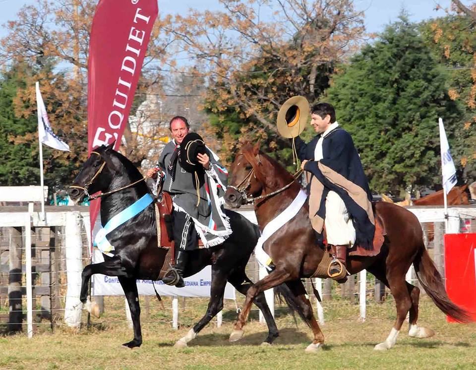 CABALLO - Diario Resumen de la región
