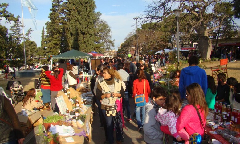 DSC07617 - Diario Resumen de la región