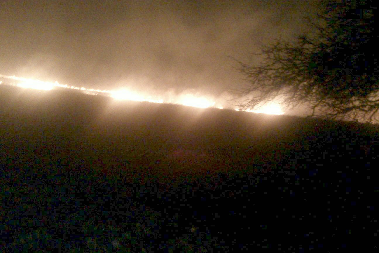 INCENDIO - Diario Resumen de la región