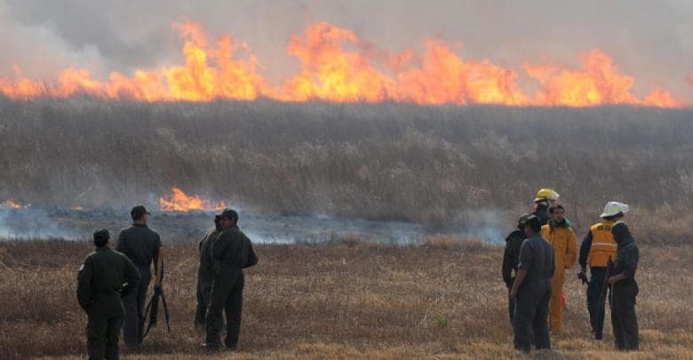 INCENDIO - Diario Resumen de la región