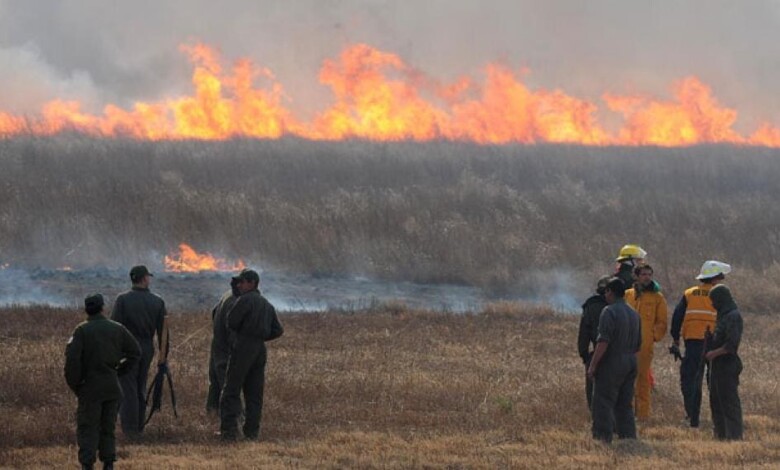 INCENDIO - Diario Resumen de la región