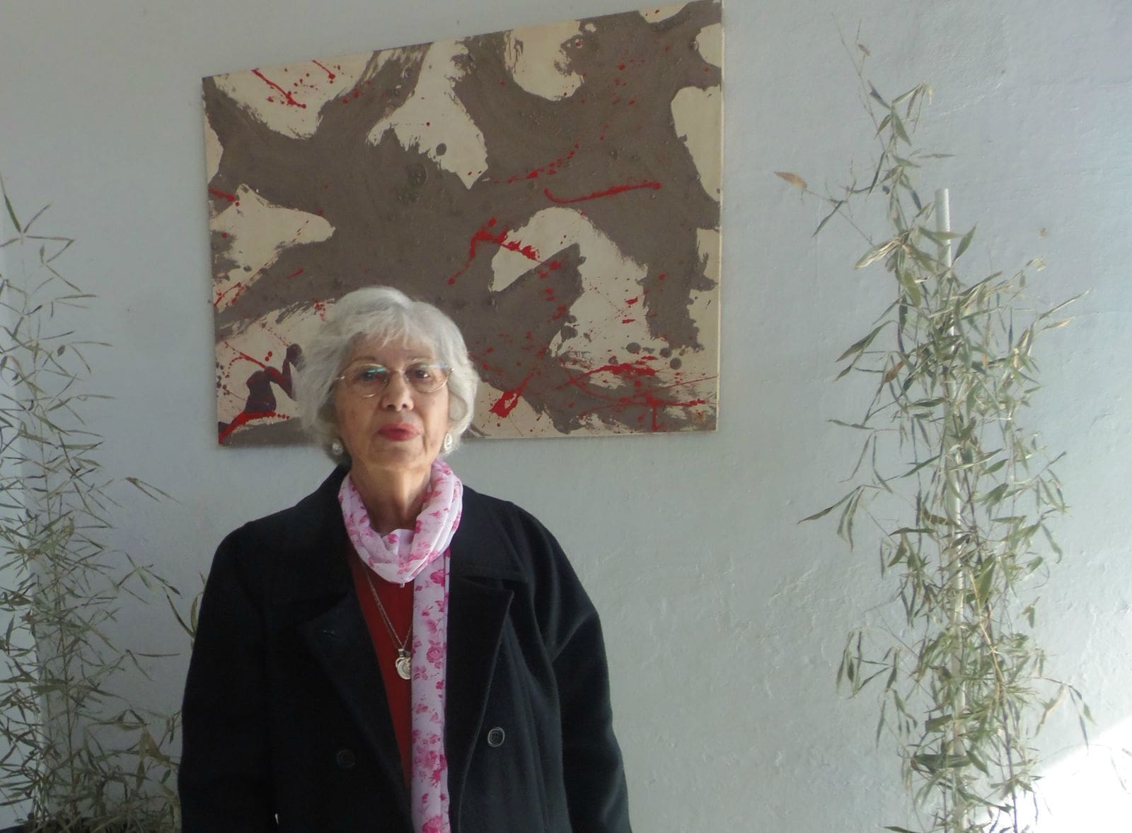 NORMA BUTORI - Diario Resumen de la región