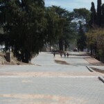 P9180558 - Diario Resumen de la región