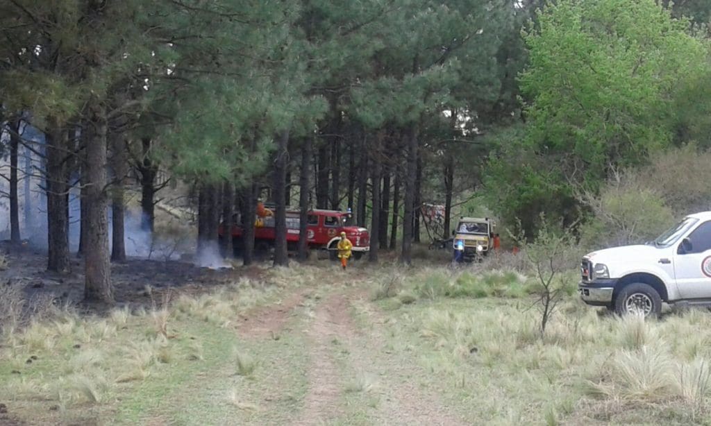 IMG 20151014 WA0004 - Diario Resumen de la región