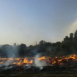 IMG 20151014 WA0005 - Diario Resumen de la región