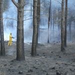 IMG 20151014 WA0010 - Diario Resumen de la región