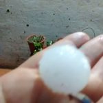 1979467 10153267553280003 1230410367900410280 n - Diario Resumen de la región