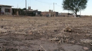 barrio parque san juan - Diario Resumen de la región