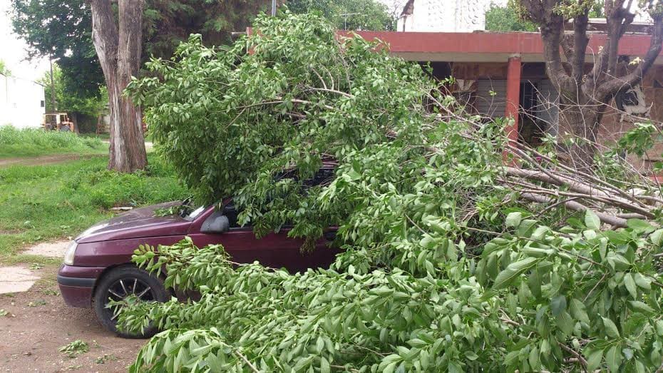 cd0ad4bd 0406 4faf afa8 19ec3d8dfb4e - Diario Resumen de la región