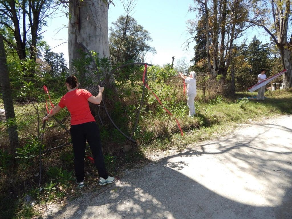 intervencion artistica 12 - Diario Resumen de la región