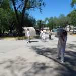 intervencion artistica 19 - Diario Resumen de la región