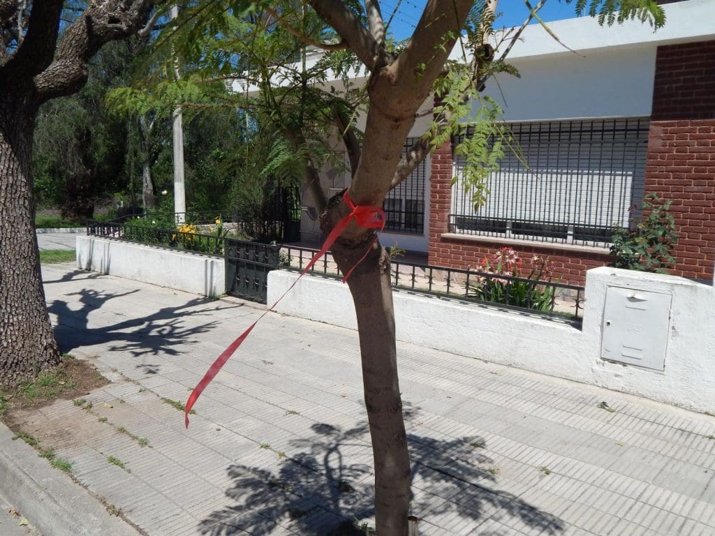 intervencion artistica 6 - Diario Resumen de la región