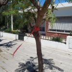 intervencion artistica 6 - Diario Resumen de la región