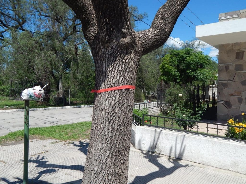 intervencion artistica 7 - Diario Resumen de la región