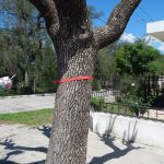 intervencion artistica 7 - Diario Resumen de la región