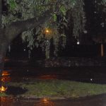 pb091328 - Diario Resumen de la región