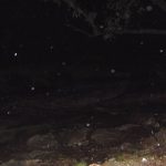 pb1013311 - Diario Resumen de la región