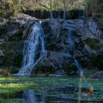 reserva natural paravachasca - Diario Resumen de la región