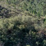 reserva12 - Diario Resumen de la región