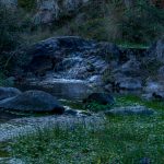 reserva17 - Diario Resumen de la región