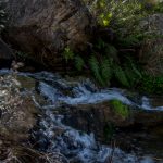 reserva22 - Diario Resumen de la región