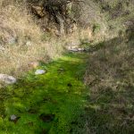 reserva33 - Diario Resumen de la región