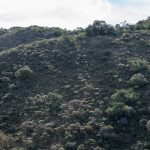 reserva35 - Diario Resumen de la región