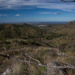 reserva41 - Diario Resumen de la región