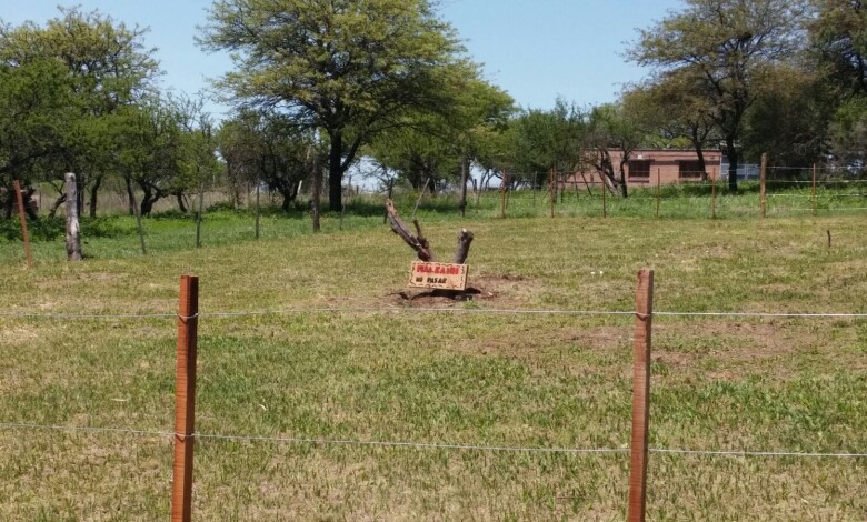 usurpacion en san isidro - Diario Resumen de la región