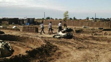 cortadero - Diario Resumen de la región