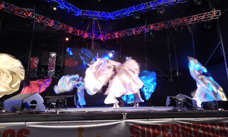 dscn4254 1 - Diario Resumen de la región