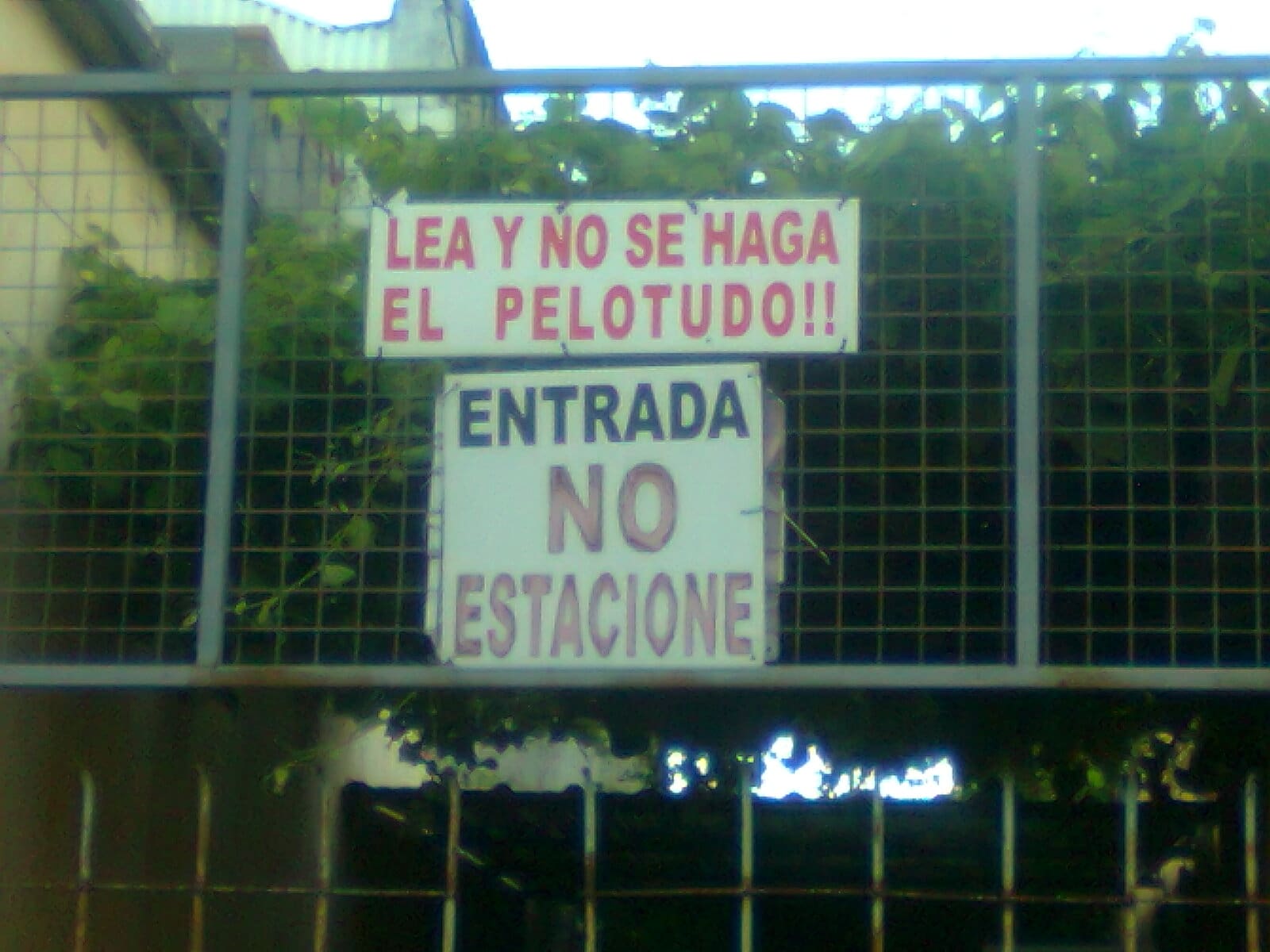 foto0757 1 - Diario Resumen de la región