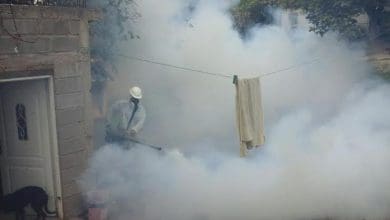 fumigacion dengue 2 - Diario Resumen de la región