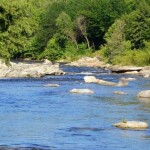 la bolsa 3 1 - Diario Resumen de la región