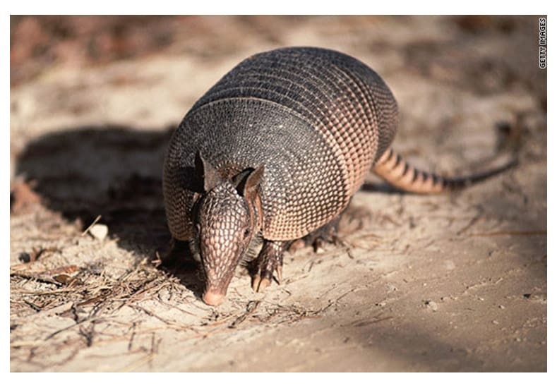 quirco 2 1 - Diario Resumen de la región