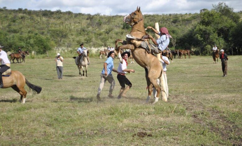 12717270 677237062379954 4387927172621033018 n 1 - Diario Resumen de la región