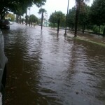 5 2 1 - Diario Resumen de la región