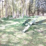 col 17 1 - Diario Resumen de la región