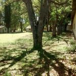 col 3 1 - Diario Resumen de la región