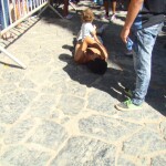 dsc08192 1 - Diario Resumen de la región