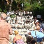 dsc08199 1 - Diario Resumen de la región