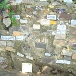 dsc08201 1 - Diario Resumen de la región