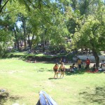 dsc08227 1 - Diario Resumen de la región