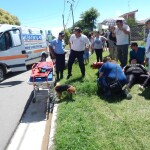 dscn4906 2 - Diario Resumen de la región