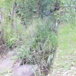 dscn4965 1 - Diario Resumen de la región