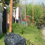 dscn4996 1 - Diario Resumen de la región