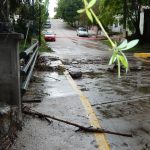 dscn5016 1 - Diario Resumen de la región