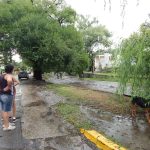 dscn5021 1 - Diario Resumen de la región