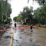 dscn5025 1 - Diario Resumen de la región