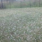 img 20160229 wa0008 1 - Diario Resumen de la región